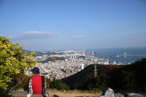 등산로를 이용한다면 산과 바다의 풍광과 도심의 고요함도 함께할 수 있다. 